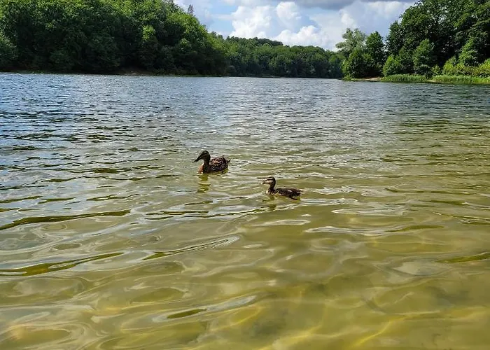 בית נופש Jelonkowo - Dom Na Wynajem - Kaszuby