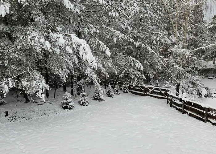 Jelonkowo - Dom Na Wynajem - Kaszuby * Jelenska Huta